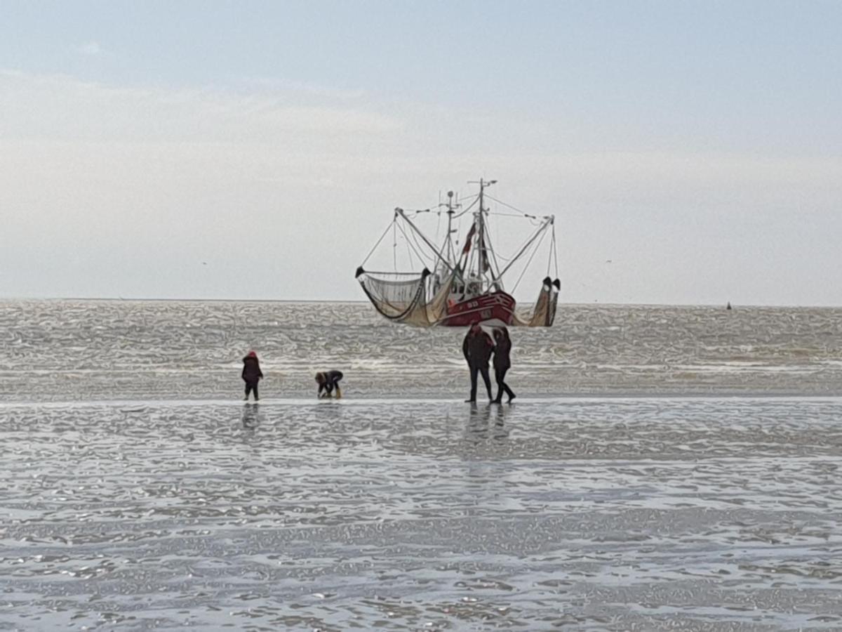 Ferienwohnung Caprinus Büsum Eksteriør bilde